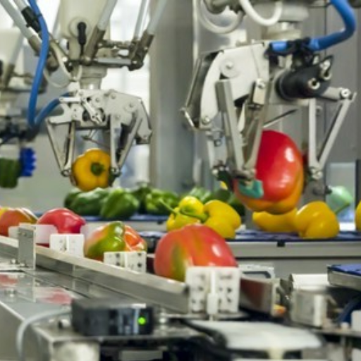 Transforming Production with Automation