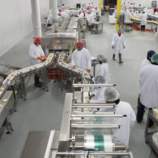 Technological Advancements in Food Production