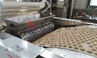 Máquina formadora de la línea de producción de bizcochos blandos