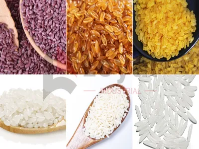 Artificial Nutrition Rice