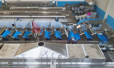 Automatic Fried Instant Noodle Production Line Machine