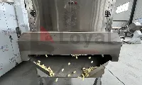 Co-extrusion die head