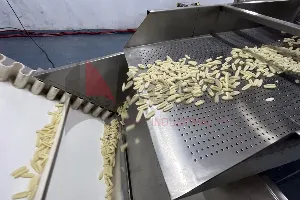 Conchiglie Shell