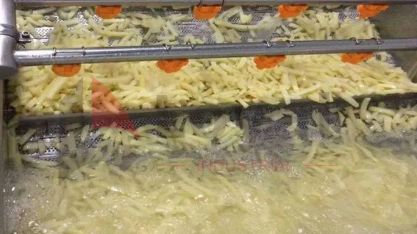 Continuous industrial belt fryer for mass production