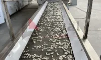Corn curl expansion process