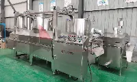 Instalación en sitio de la línea de producción de doritos