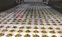 Extrusion nozzles close up