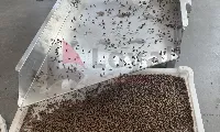 Cabeza de cortadora de alimento