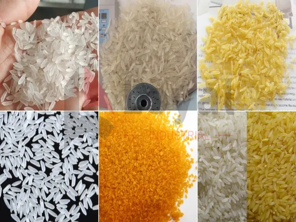 Granos de arroz dorado fortificados