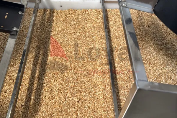 Mezcla de granola siendo presionada en una hoja plana por rodillos