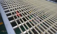 Escena de producción de fryums industriales