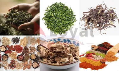 Microwave Tea Leaf Drying
