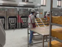 Operación del equipo de línea de panko por electrodos