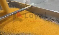 Sitio de operación de la línea de migas de panko