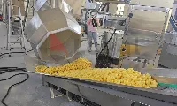 Pinch cutter machine