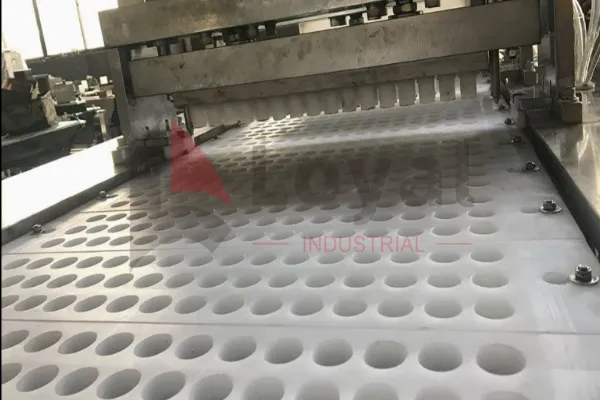 Protein dough being extruded through multi-row nozzles