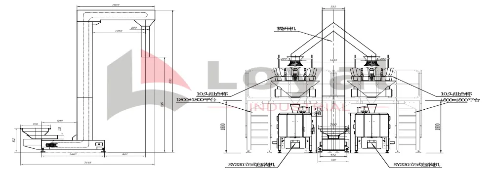 Schematic diagram of full vertical packaging system layout