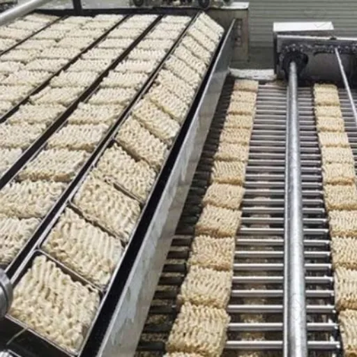 Fried vs. Non-Fried Instant Noodles: Market Trends and Machine ROI