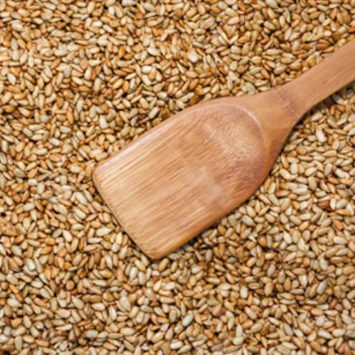 How Does Seed Type Influence the Choice of Drying Technology_