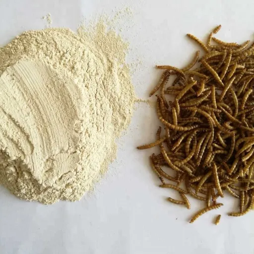 Nutritional Bioavailability