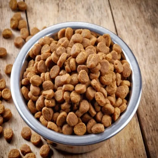 How to Make Dry Dog Food_ Complete Manufacturing Guide