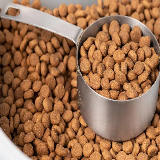 How to Start a Pet Food Business_ A Complete Guide from Equipment to Launch