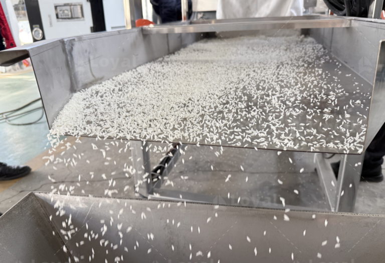 twin-screw extruder