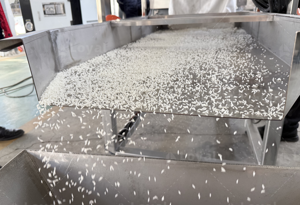 twin-screw extruder