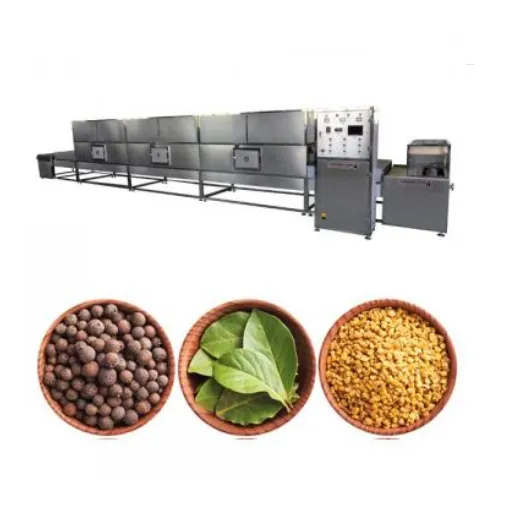 Cost Analysis_ Is Microwave Sterilization Worth the Investment_ (1)