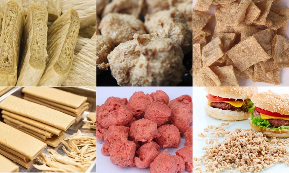 Bolas, Copos y Trozos Rehidratados de Proteína Vegetal Texturizada