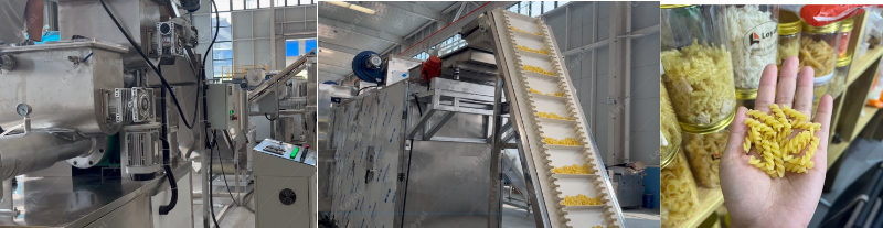 Stringent Quality Control, Testing, and Dispatch