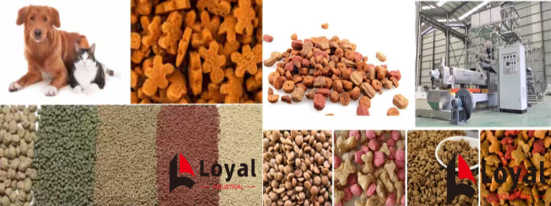 ligne de production d’aliments pour animaux de compagnie (3)