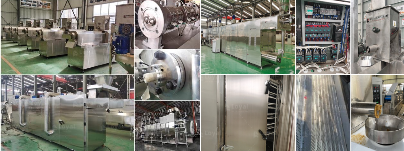 ligne de production d’aliments pour animaux de compagnie (4)